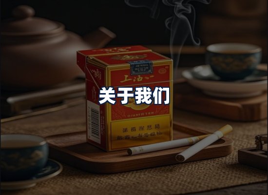 关于我们